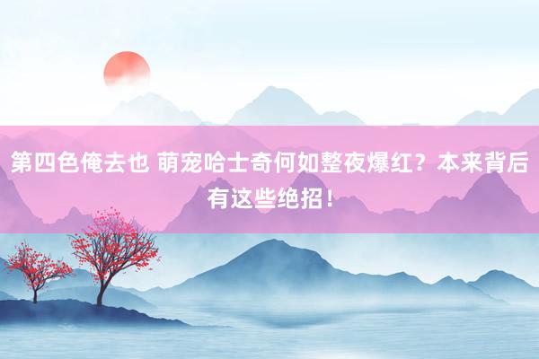 第四色俺去也 萌宠哈士奇何如整夜爆红？本来背后有这些绝招！