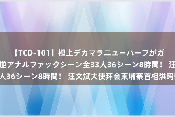 【TCD-101】極上デカマラニューハーフがガン掘り前立腺直撃快感逆アナルファックシーン全33人36シーン8時間! 汪文斌大使拜会柬埔寨首相洪玛奈