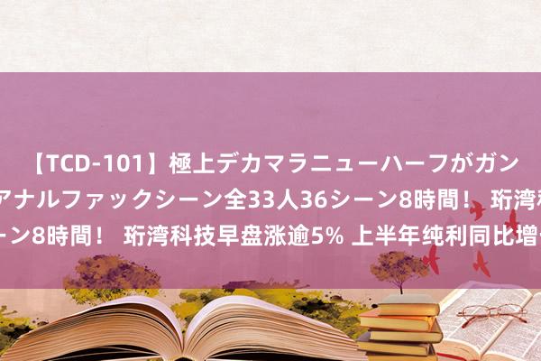【TCD-101】極上デカマラニューハーフがガン掘り前立腺直撃快感逆アナルファックシーン全33人36シーン8時間! 珩湾科技早盘涨逾5% 上半年纯利同比增长55%