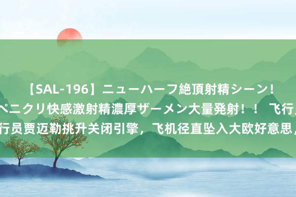 【SAL-196】ニューハーフ絶頂射精シーン！8時間 こだわりのデカペニクリ快感激射精濃厚ザーメン大量発射！！ 飞行员贾迈勒挑升关闭引擎，飞机径直坠入大欧好意思，217东说念主片甲不回