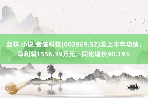 丝袜 小说 金溢科技(002869.SZ)发上半年功绩,净利润1556.39万元,同比增长90.19%