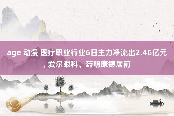 age 动漫 医疗职业行业6日主力净流出2.46亿元， 爱尔眼科、药明康德居前