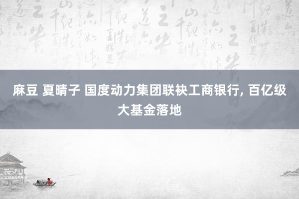 麻豆 夏晴子 国度动力集团联袂工商银行， 百亿级大基金落地