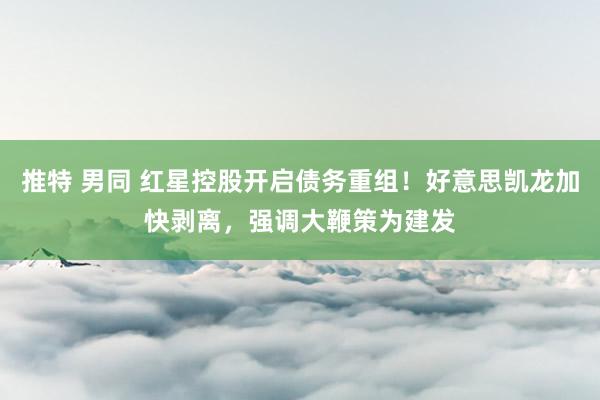 推特 男同 红星控股开启债务重组！好意思凯龙加快剥离，强调大鞭策为建发