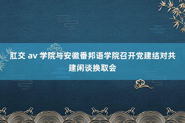 肛交 av 学院与安徽番邦语学院召开党建结对共建闲谈换取会