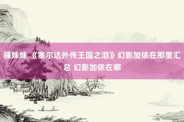 骚妹妹 《塞尔达外传王国之泪》幻影加侬在那里汇总 幻影加侬在哪