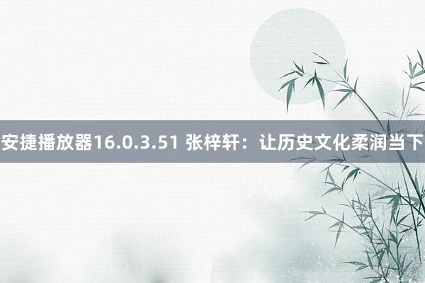 安捷播放器16.0.3.51 张梓轩：让历史文化柔润当下