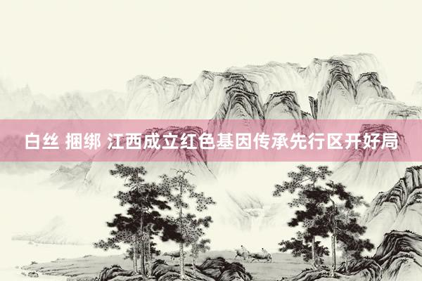 白丝 捆绑 江西成立红色基因传承先行区开好局