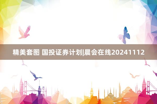 精美套图 国投证券计划|晨会在线20241112