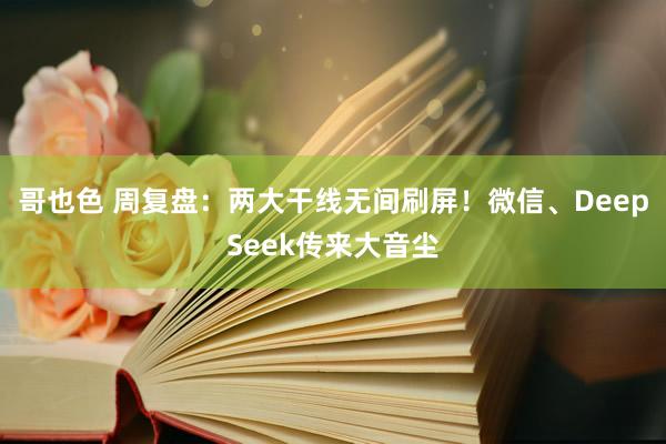 哥也色 周复盘：两大干线无间刷屏！微信、DeepSeek传来大音尘