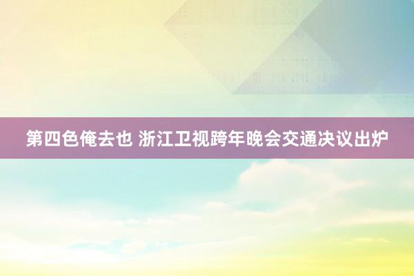 第四色俺去也 浙江卫视跨年晚会交通决议出炉