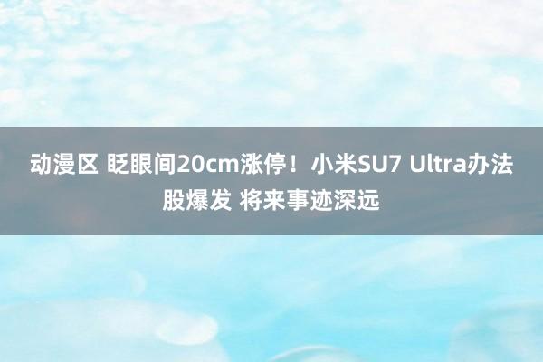 动漫区 眨眼间20cm涨停！小米SU7 Ultra办法股爆发 将来事迹深远