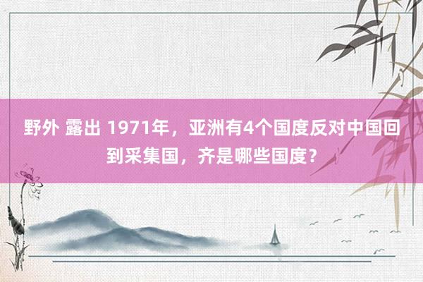 野外 露出 1971年，亚洲有4个国度反对中国回到采集国，齐是哪些国度？