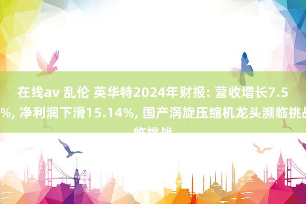 在线av 乱伦 英华特2024年财报: 营收增长7.52%， 净利润下滑15.14%， 国产涡旋压缩机龙头濒临挑战