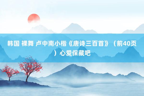 韩国 裸舞 卢中南小楷《唐诗三百首》（前40页）心爱保藏吧