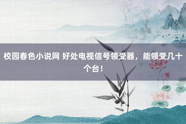 校园春色小说网 好处电视信号领受器，能领受几十个台！